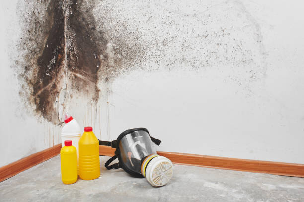 Best Water Damage Restoration  in Huntington, VA