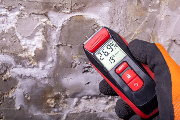 Best Local Mold Removal Service  in Huntington, VA