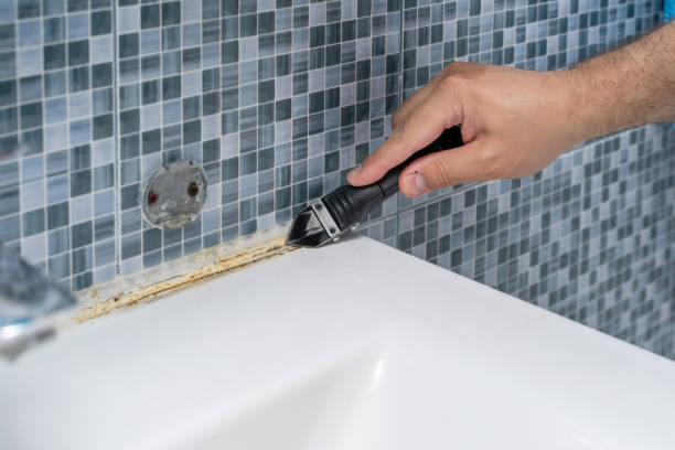 Best Mold Testing  in Huntington, VA