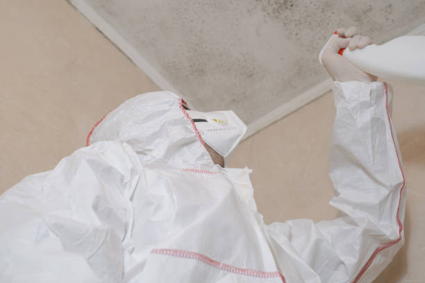 Best Commercial Mold Removal  in Huntington, VA