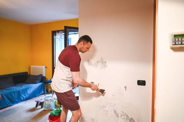 Attic Mold Removal in Huntington, VA